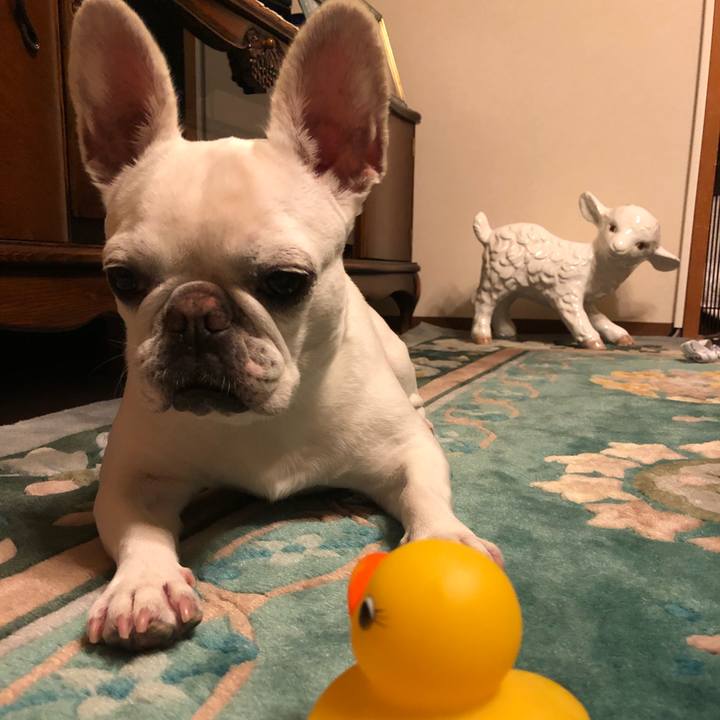 A26edaa4 6850 400e bcc9 5760cbebadd5 1655984720284