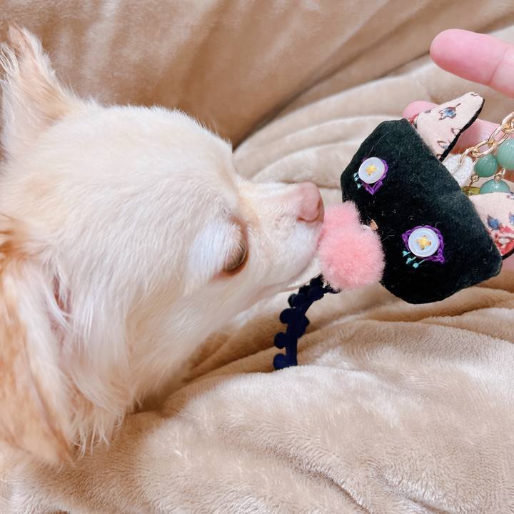 A26f7ef2 2905 449c a0a6 a3bb5c5a36d4 1669894499714