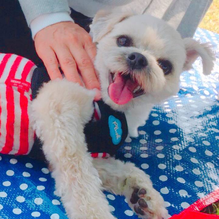 A26fb247 0c39 4335 8478 212aca1c68d3 1522580280518