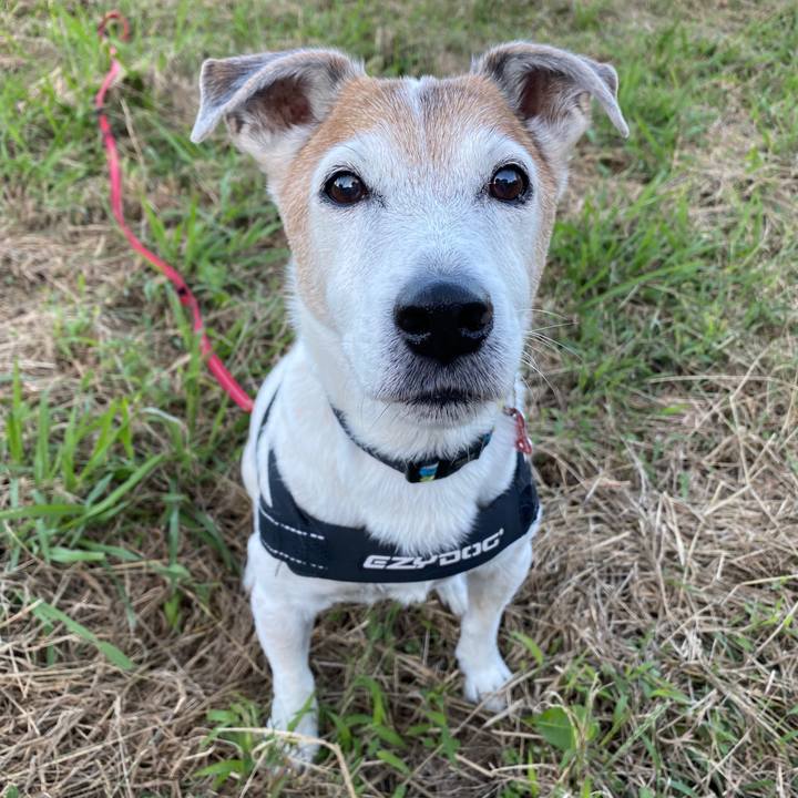 A26fc8de cfdf 4d13 a48d d80c1cf654bd 1603617176376