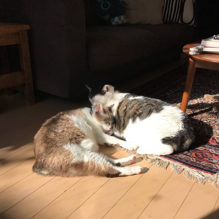 A26fdf43 b311 44e0 a963 384ff429ef1e 1509362142246