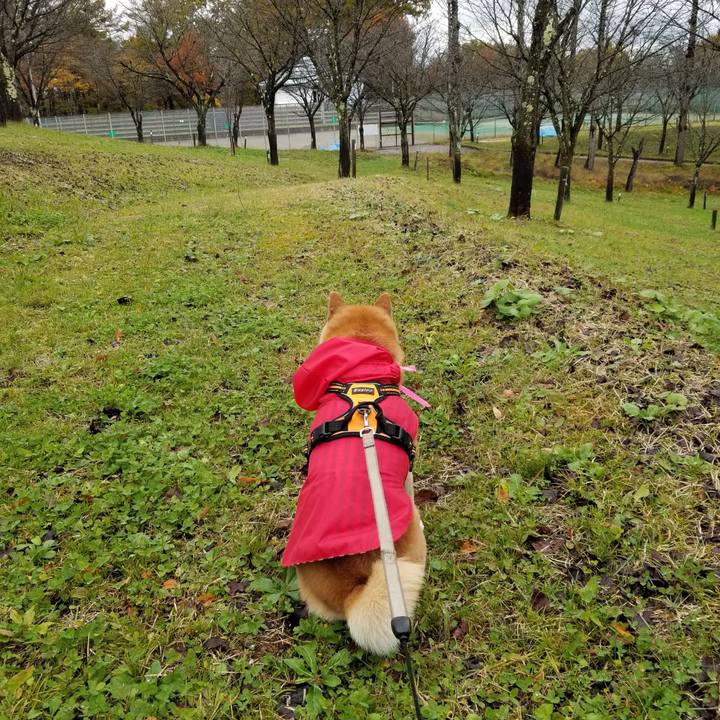 A26fe113 8cd7 444b a263 2b55d9c5e9c5 1636435142602