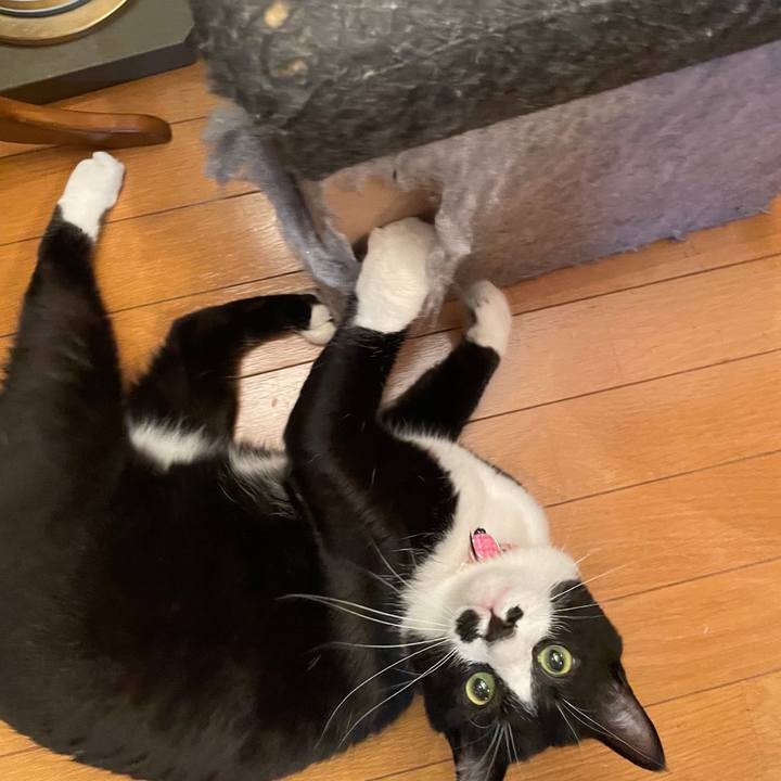 A26fe7e0 9969 4d1f 8f88 274a9d374067 1654087665889