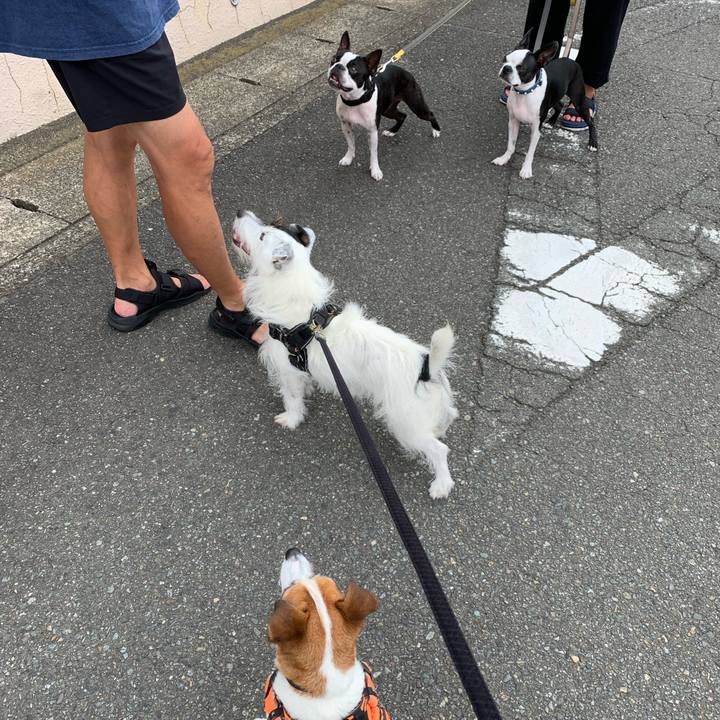 A2700b72 40b4 419f b960 a1880393a8d6 1628725191955