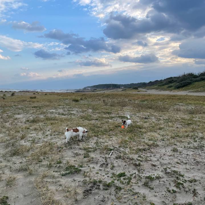 A27034e7 bc9a 4a83 8af3 96a536ab8e32 1761696603386