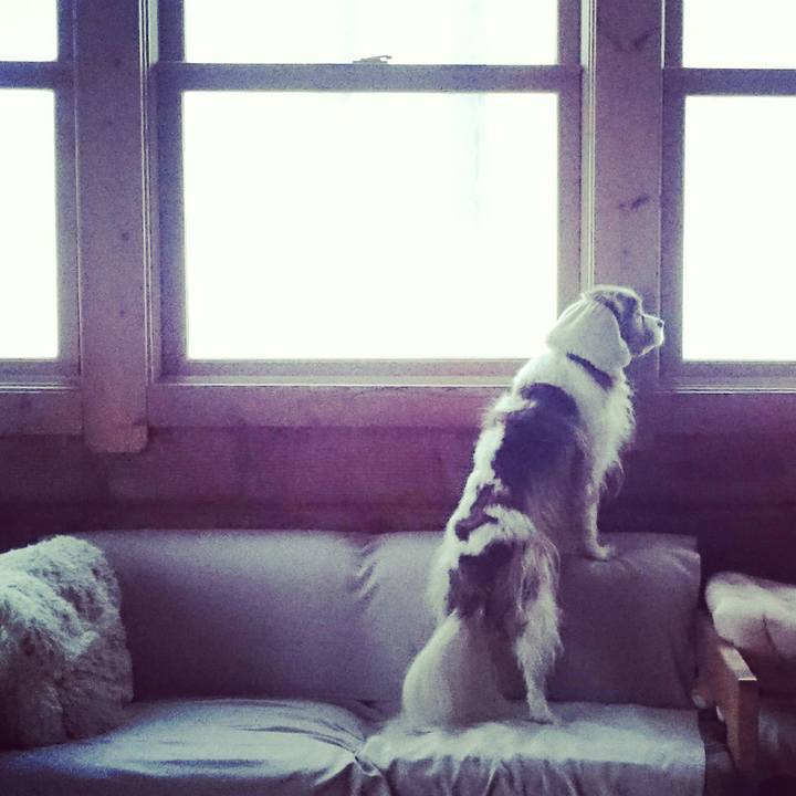 A2703f26 4db5 48d6 bbd6 0486a90ff5b7 1549113021207