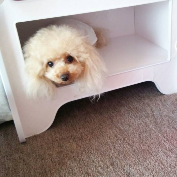 A2708492 10f0 462f 908e a918a918e468 1539426467284