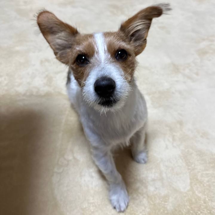 A270bd9e 971a 475b 8353 8e6c7bd93efc 1763332055713