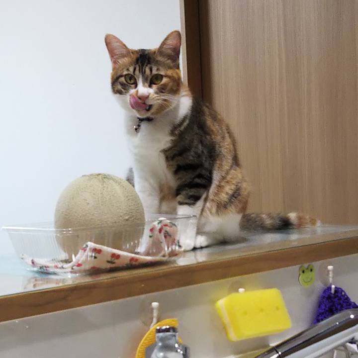 A270de78 8365 4794 86c6 7b389ff3bfd6 1657216894657