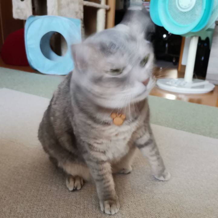 A270ecfd e676 454a b1a3 2aeea270f6a9 1601357314179