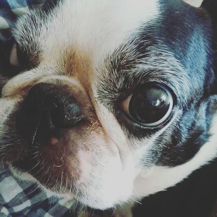 A2713e8d 0296 4a74 9b41 2b46fd283a55 1537159413960