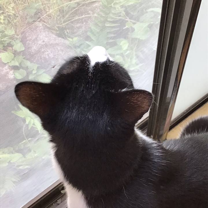 A2719327 ff1b 473d a6dd 89dd77b4b6eb 1653781999945