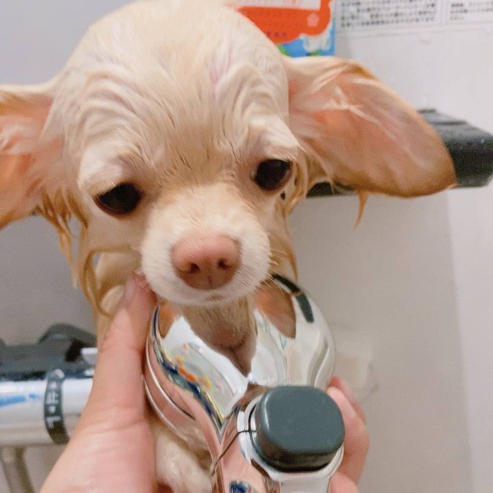 A271aca9 64dc 494d 8252 031a639e1e6e 1619599332304