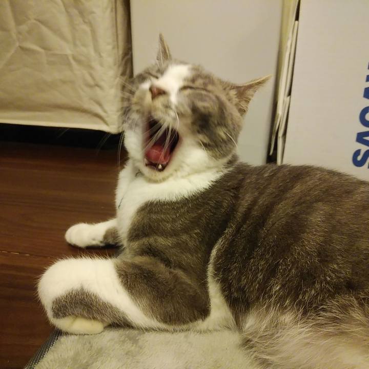 A271d0fa 5724 4e8e 8e38 7357e0bf91f0 1589375556343