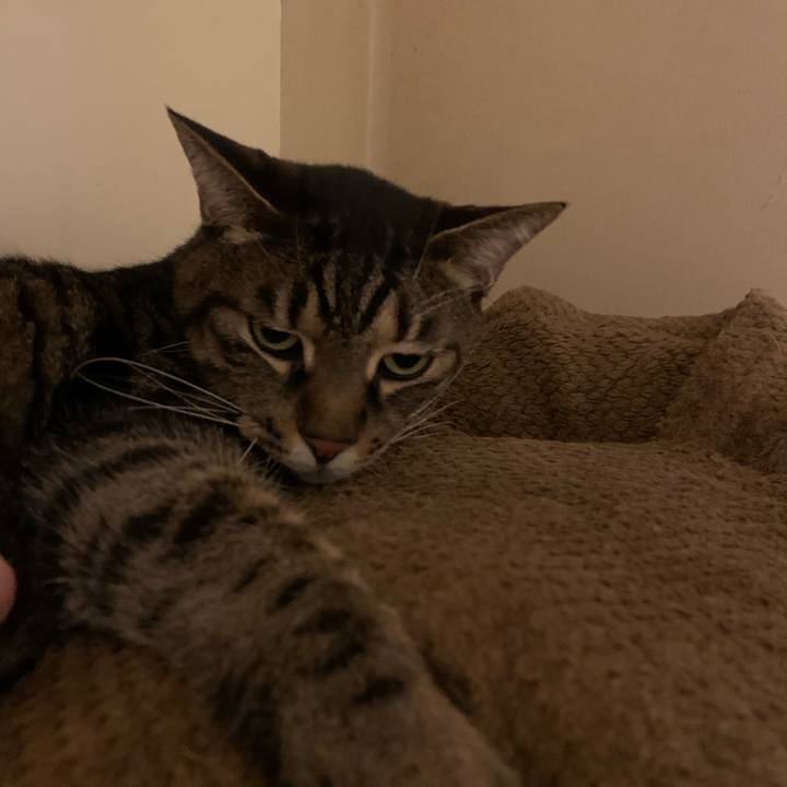 A271ed62 ebdf 4260 9e6a 8e23db9dcc07 1642996840478