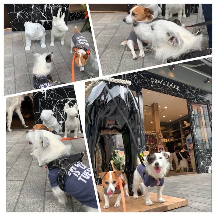 A271f1d4 aceb 48de b168 0f5048801239 1617509762629