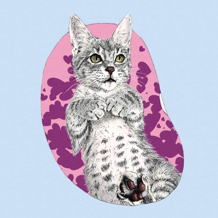 A2720853 3904 4620 ae36 00911a2b3ebf 1597585565428