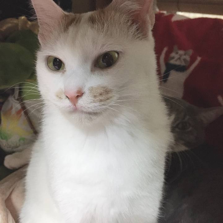 A27210f0 f096 4e1c 94b9 45adb6924fdc 1572092486883