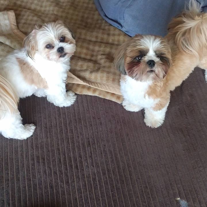 A2722413 1b4e 43bd a9ee 1682d132d836 1591510343074