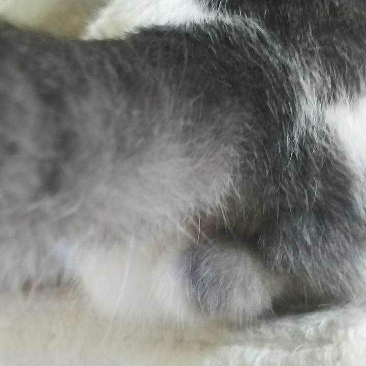 A2723eb2 a203 4aaf 90c3 dae1cd3e4e30 1520651199300