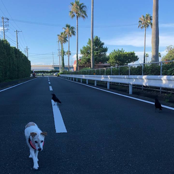 A2724294 6c39 4a96 871b a64654140b95 1659185830185