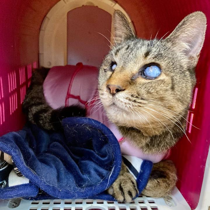 A2727eec 7f52 4b00 88d2 e5f3afd6e1f5 1684035457277