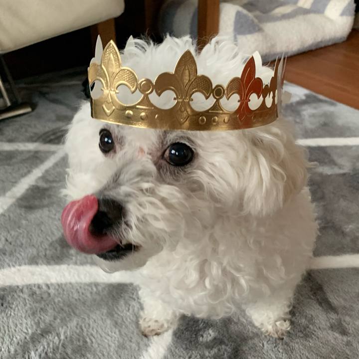 A2728bd5 162b 44e0 a55f 0c9ea277ceb3 1675005105339