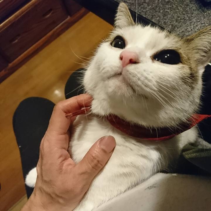 A27292bc 4707 4cdb bee5 d0aa90e05673 1541522135585