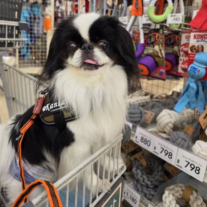 A2729b3f e02b 44a5 8400 b9bb85c0b31b 1746508504907