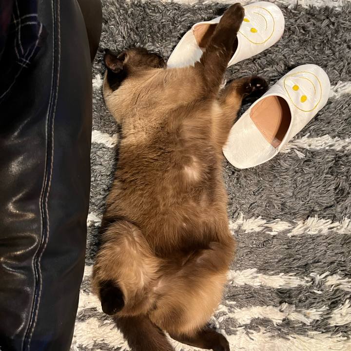 A2729fc0 1bab 4efc bff2 797cf2c0ec6e 1713093292229