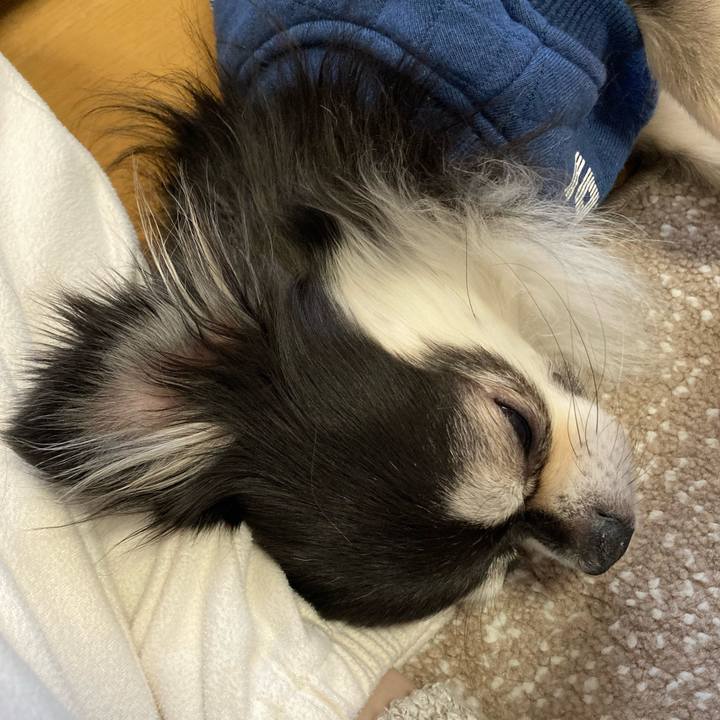 A27312a7 4e6c 4e93 ac58 c053e661722f 1703933632481