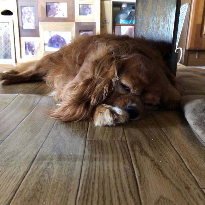 A2731334 b564 4d2d b3d9 8e41865b4513 1626486776204