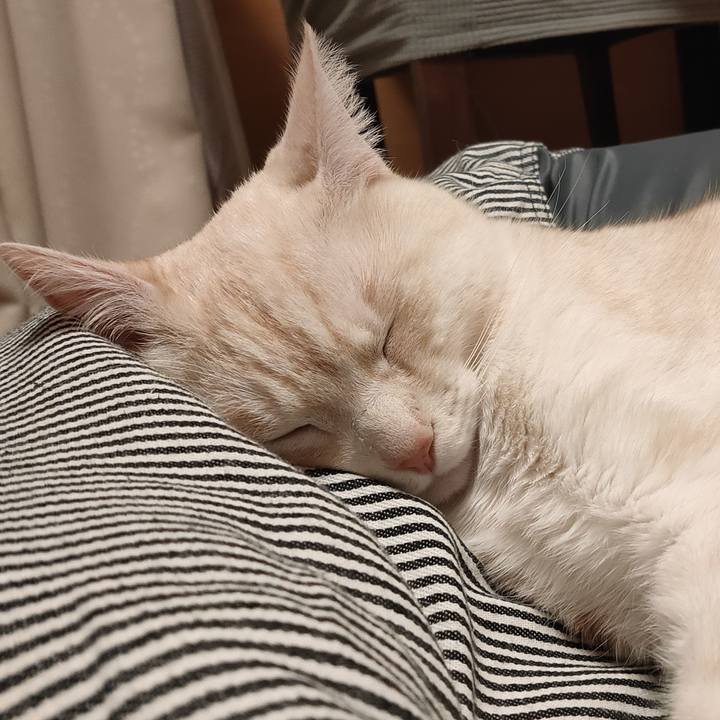 A2731a21 431a 4a8d b1f9 aa1427a8be3d 1676954968143