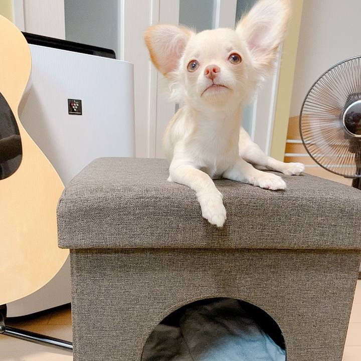 A2731f34 9b1b 413c 9fb9 959d951e9a53 1595482902011