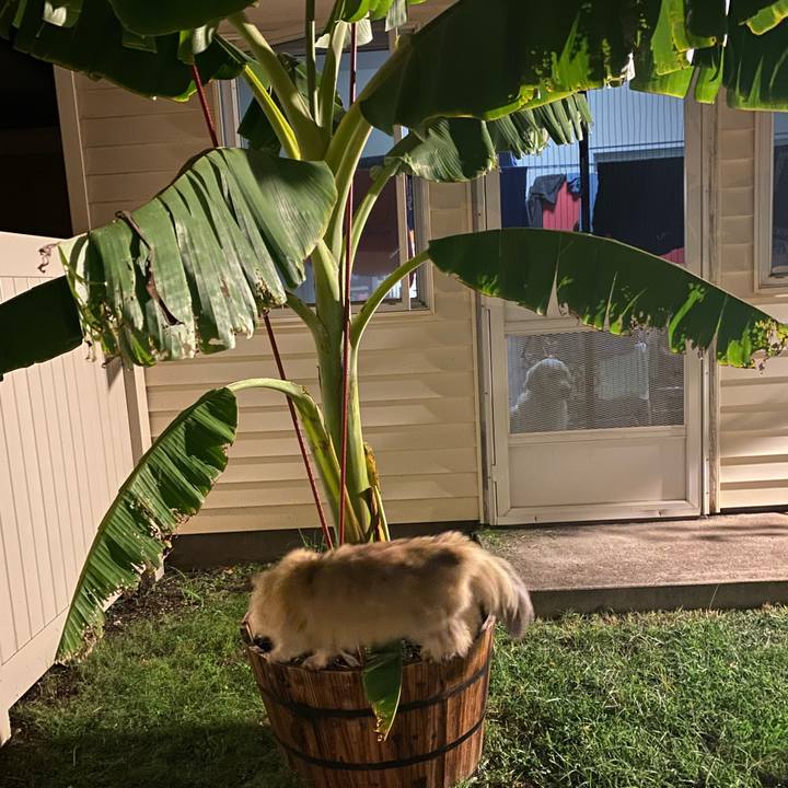 A2733980 3c94 48c7 b448 02755121ccfd 1572039387119