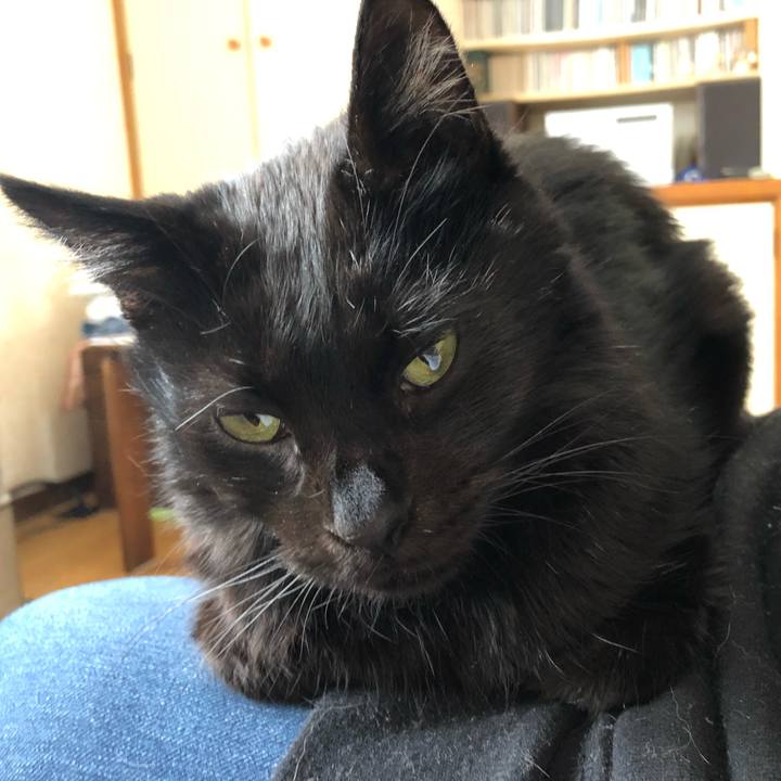 A2736139 012a 424f 91dc 135edc7c90f1 1575698234219