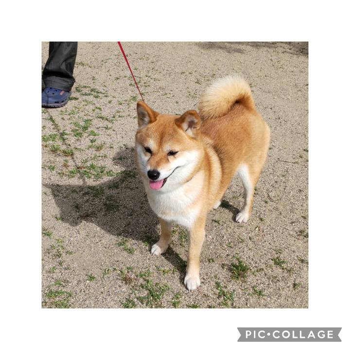 A2736801 c85e 463d 9a9f 9b620ca120db 1685307405132