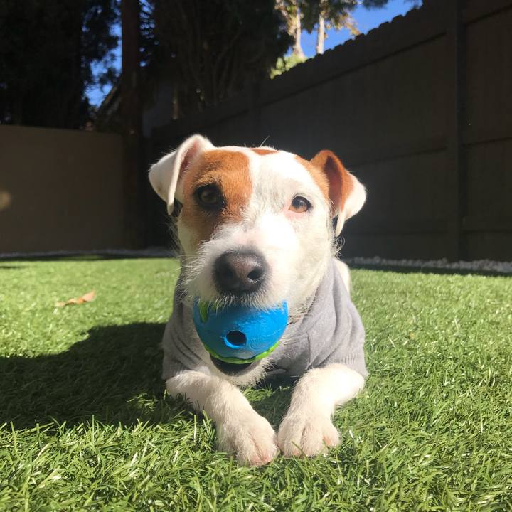 A273686a 637e 4e80 aa19 a971e5aa18fb 1516552852903