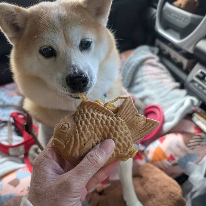 A2737d4a bd67 438c 8fab e50f999d52a7 1767960190860