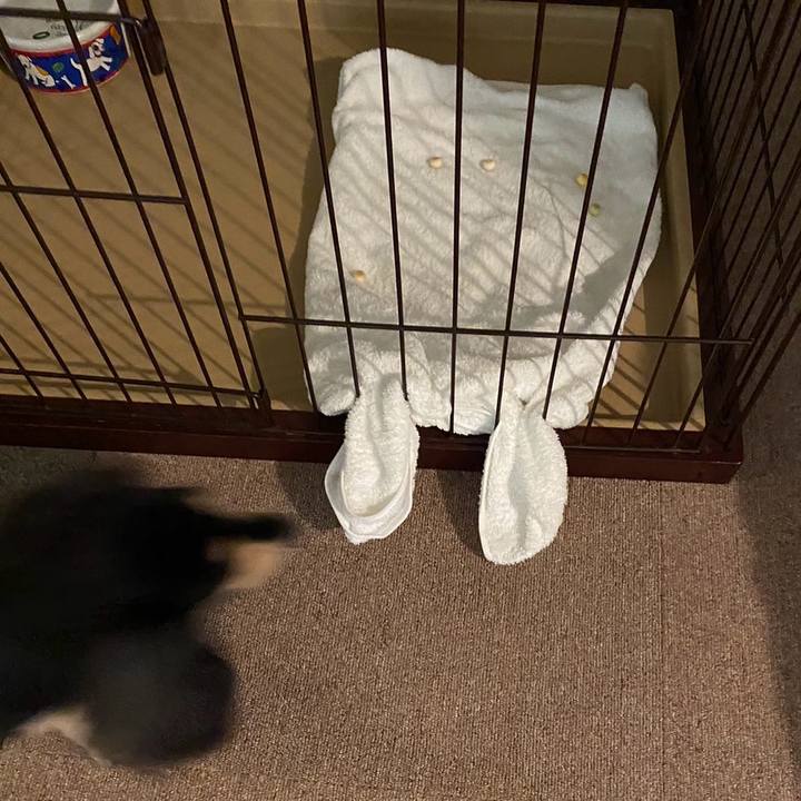 A273adb4 e763 4a33 9a62 46ed5193dbaf 1695454743253