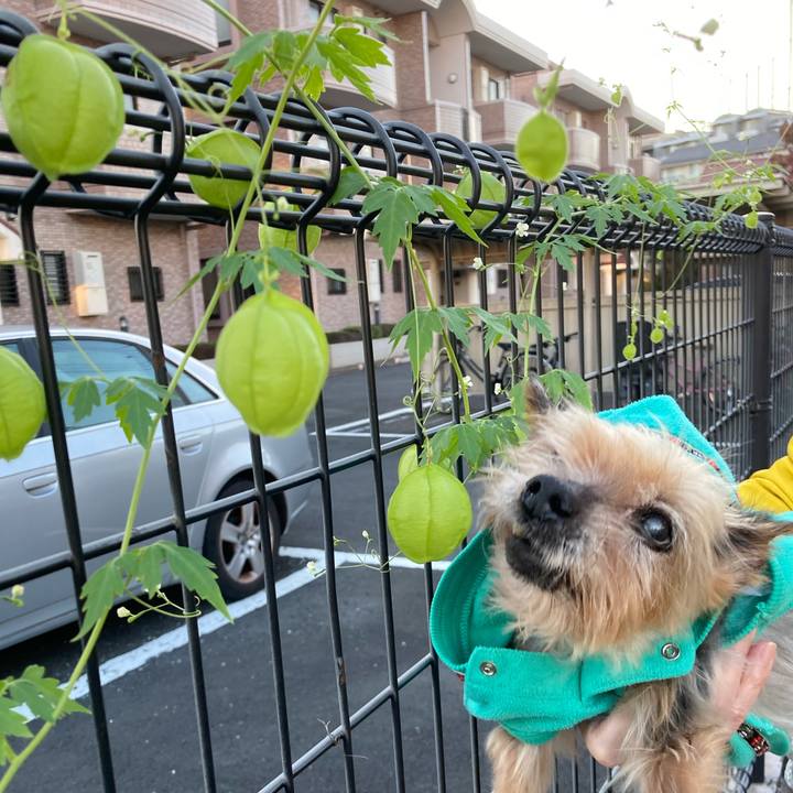 A273d071 c18e 4b11 9207 50a8f1d5c4c6 1698576727824