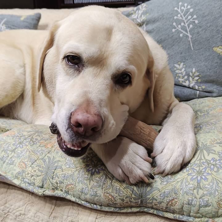 A273e01b e31c 4066 a6b4 14abe55699d3 1737638157773