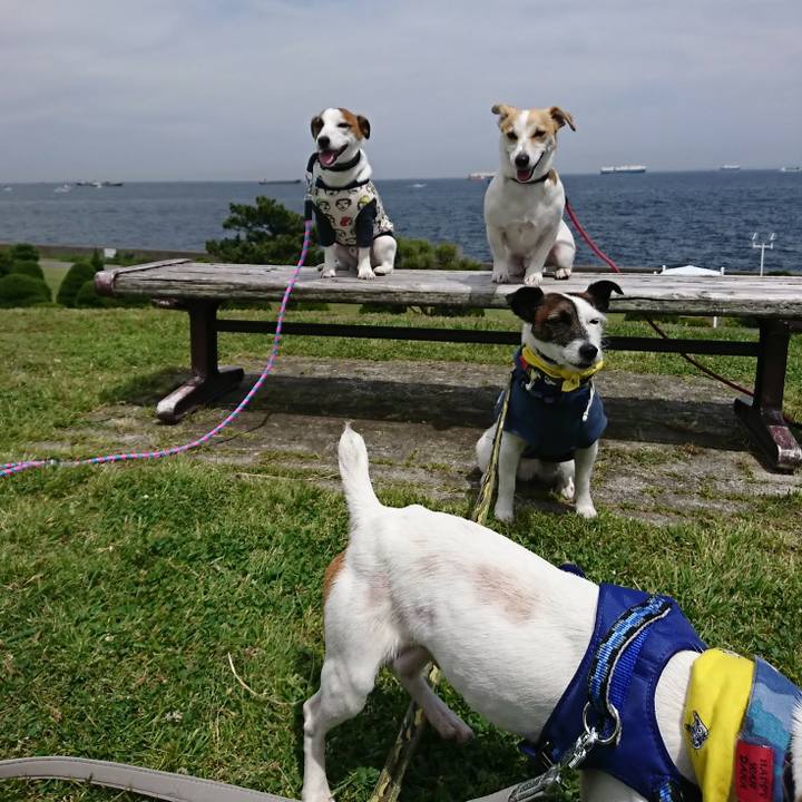 A273e36f 4f4b 49c7 9ced 7cc656ca768f 1526123521223