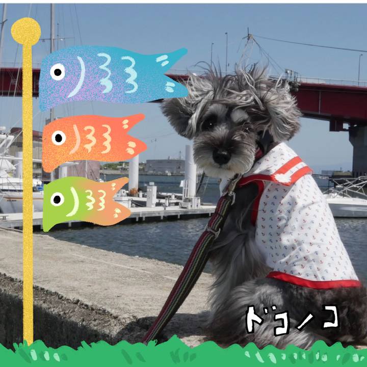 A2744e31 4142 4890 91be e08b5fa9cd85 1714900474696