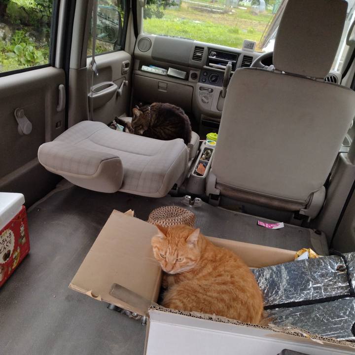 A2746867 71cc 4840 b807 2a388416de07 1689326850814