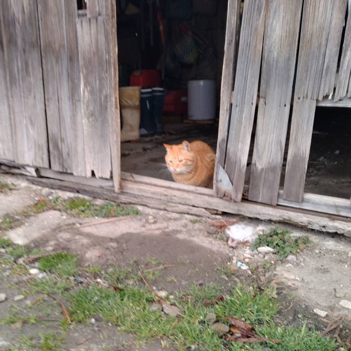 A2747f97 374e 49fb 9eae 9c34b2219577 1678658371708