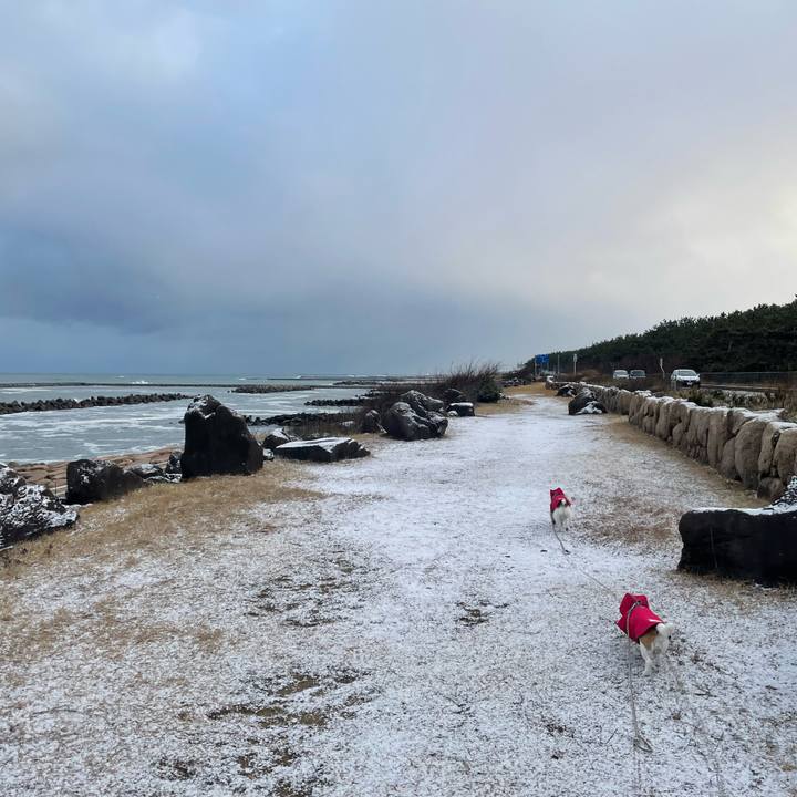 A274badf 9f80 4066 b449 4efbeefeb0a9 1706829458577