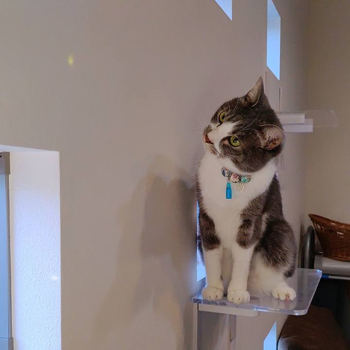 A274da2e 3d92 43d4 b65c d5dc96d9574e 1672102673065