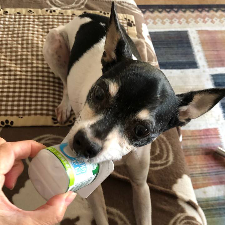 A2750958 8471 4212 b2d5 c89d614c80f0 1543495562037