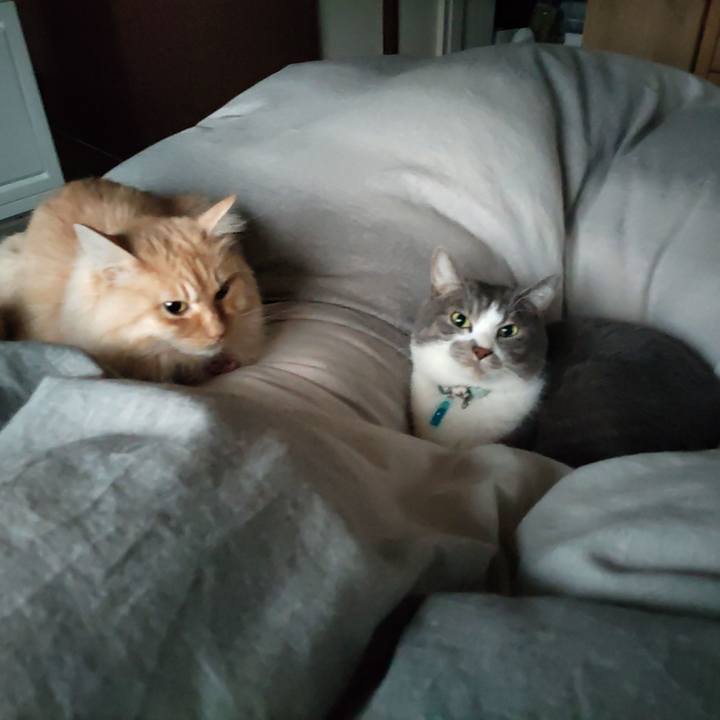 A27516af cfe0 49f7 8dea d16a7e24f137 1671582351390